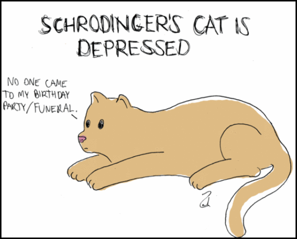 Schrodinger2