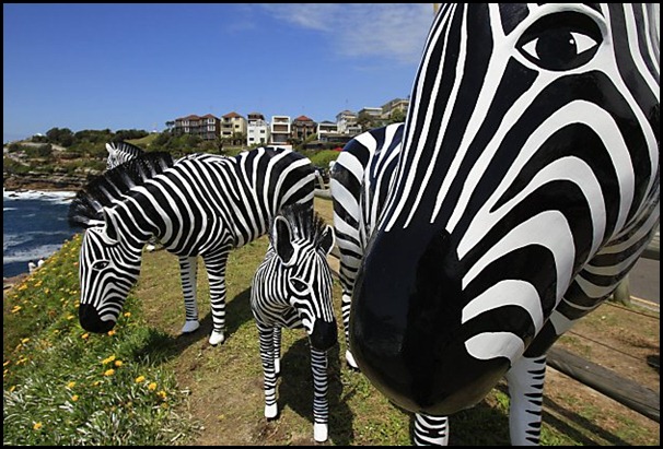 Alan and Julie Aston - Simple Black & White 1