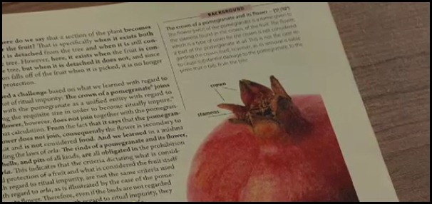 Koren-Talmud-Bavli-3